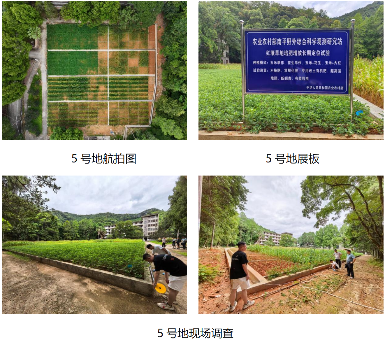 微信图片_2026-07-18_172115_459.png
